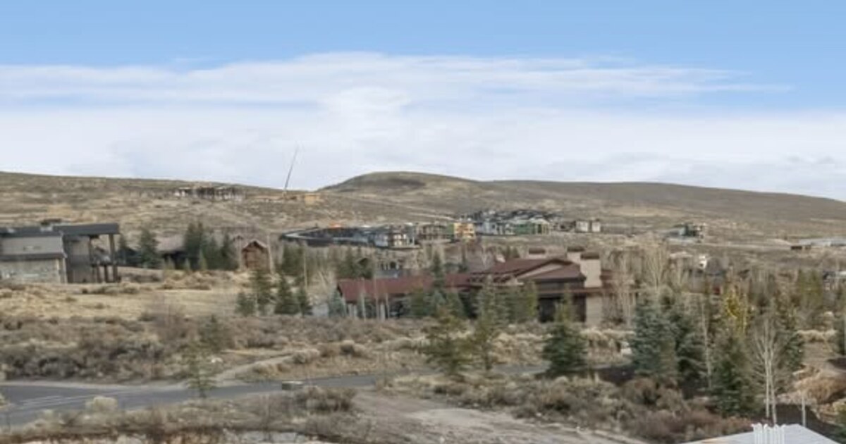 Hillside homes among evergreen and leafless trees below open terrain